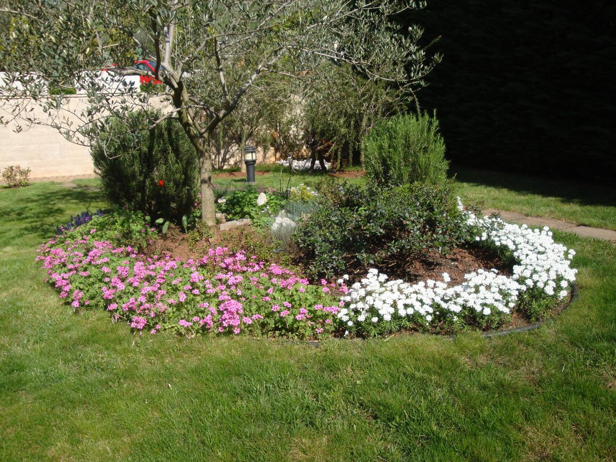 Apartments Mogorovic Mošćenička Draga Buitenkant foto